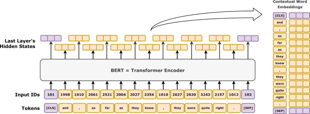 NLP with BERT