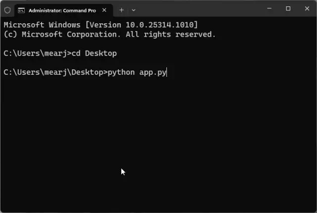 restart the AI chatbot server